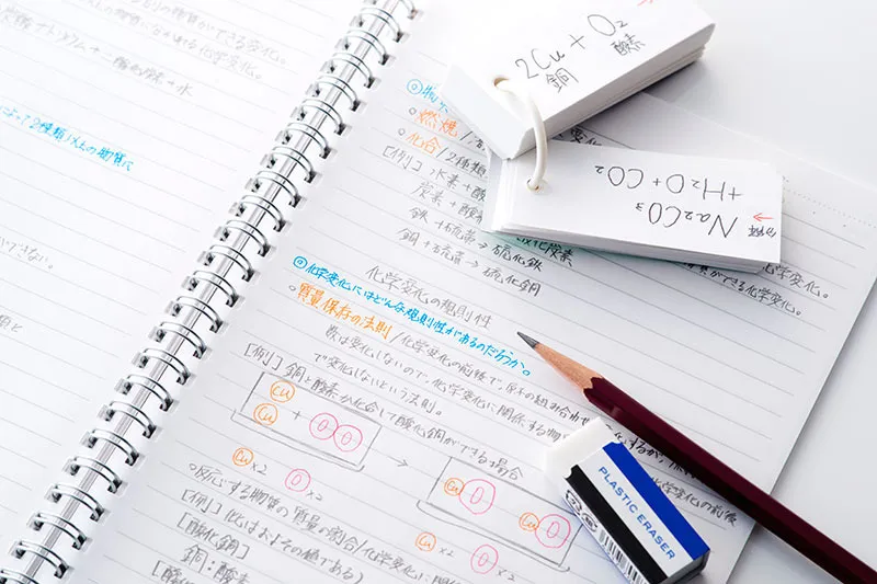 各種コースの詳細と料金体系のご案内